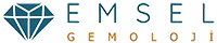 cropped-emsel_logo.png